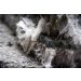 Asbestos Awareness Training - CPD Accredited